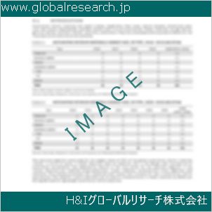 グローバルリサーチ調査資料のイメージ